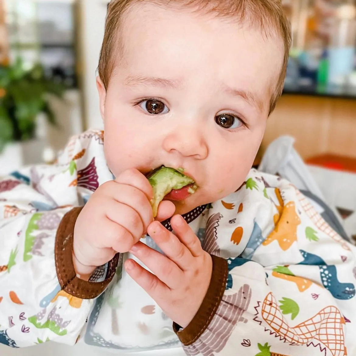 Baby Long Sleeve Apron Smock Bib In The Jungle