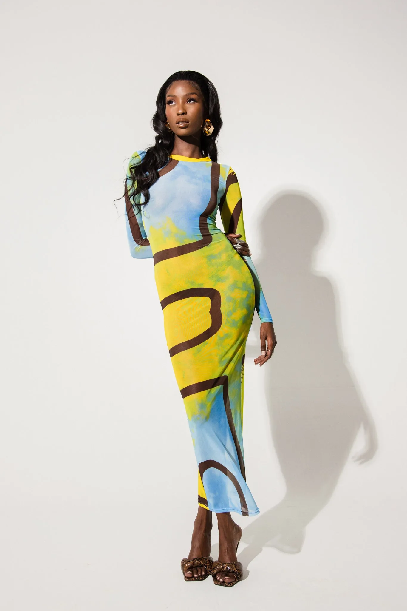 Crew Neck Long Sleeve Mesh Dress- Femi Print Baby Blue