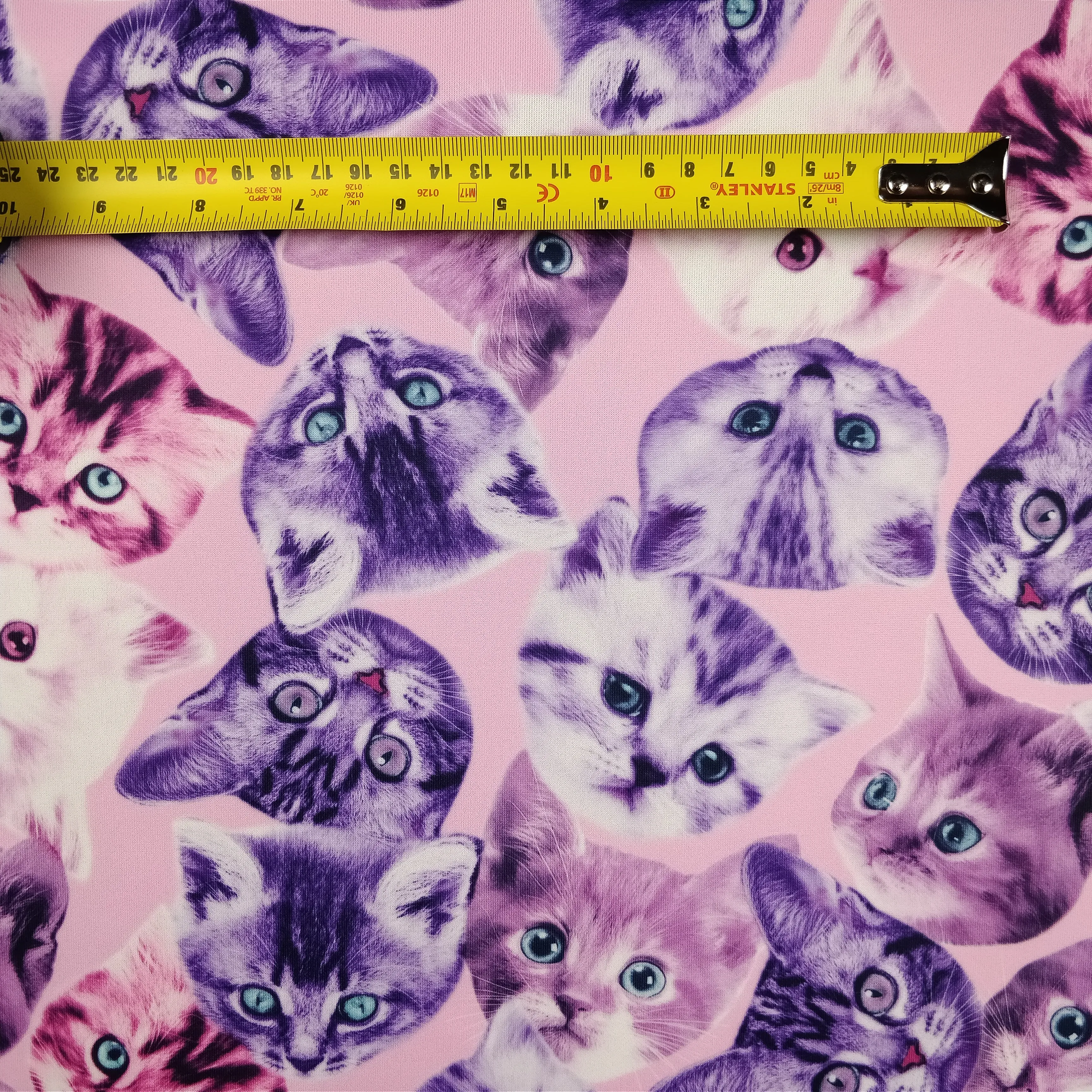 FS205_1 Purple Cats