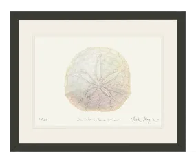 Ivory Sand Dollar II Print