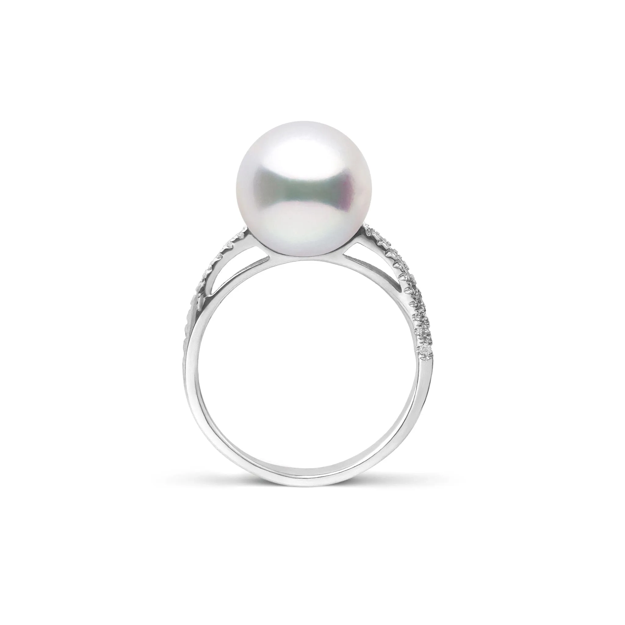 Pirouette Collection 10.0-11.0 mm White South Sea Pearl and Diamond Ring