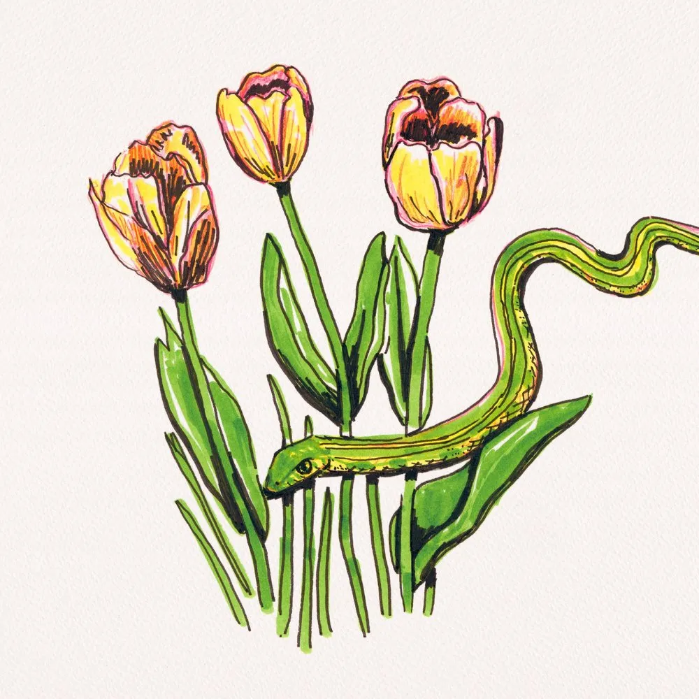 Refuge Studios Iowa City - Garter Snake Among Tulips Print